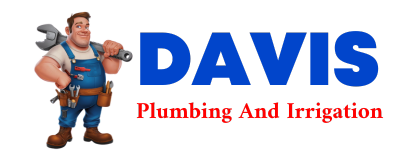 Trusted plumber in LEARY